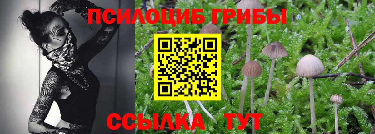 Галлюциногенные грибы Magic Shrooms  Псилоцибиновые грибы Psilocybe  Вход с VPN  Кимовск 